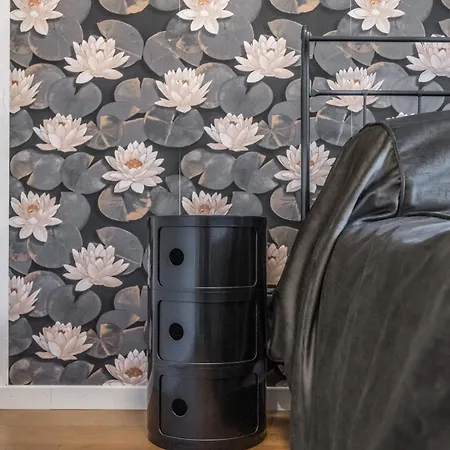 Mi Casa